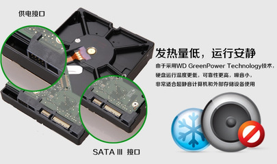 廣州白云區(qū)翔騰信息咨詢服務(wù)部提供的西部數(shù)據(jù)WD30EZRX 3TB綠盤報價與獨家寫真
